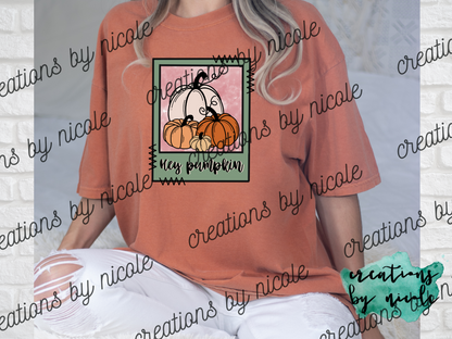 Hey Pumpkin Shirt